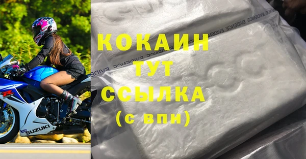 шишки Заволжье